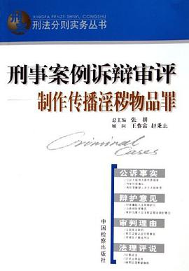 刑事案例诉辩审评 pdf epub mobi 电子书 下载