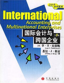 国际会计与跨国企业 pdf epub mobi 下载