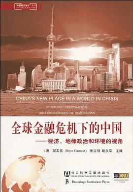 全球金融危机下的中国