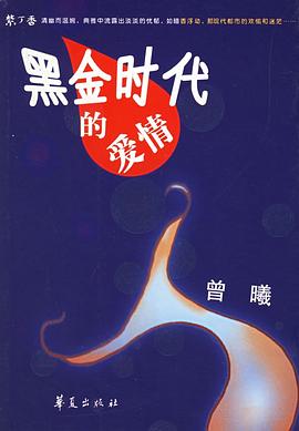 黑金时代的爱情 pdf epub mobi 电子书 下载