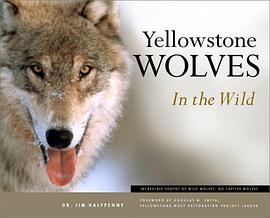 Yellowstone Wolves in the Wild pdf epub mobi 电子书 下载
