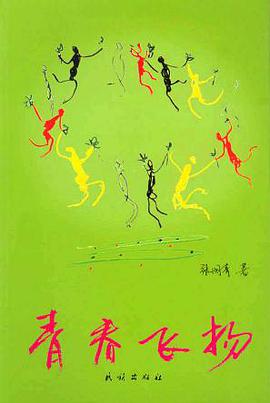 青春飞扬 pdf epub mobi 电子书 下载
