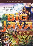 Big Java中文版