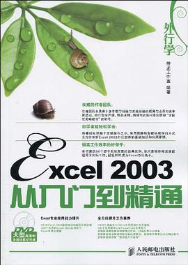 外行学Excel 2003从入门到精通 pdf epub mobi 电子书 下载