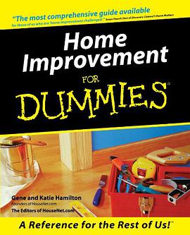 Home Improvement For Dummies pdf epub mobi 电子书 下载