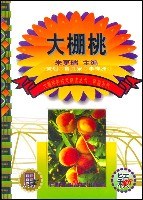大棚桃 pdf epub mobi 電子書 下載