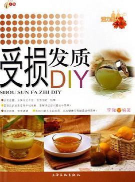 受损发质DIY pdf epub mobi 电子书 下载