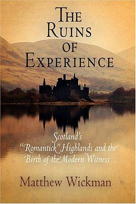 The Ruins of Experience pdf epub mobi 电子书 下载