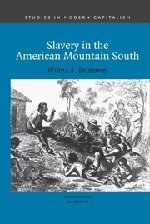 Slavery in the American Mountain South pdf epub mobi 电子书 下载