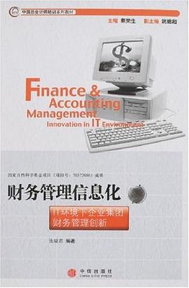 财务管理信息化 pdf epub mobi 电子书 下载