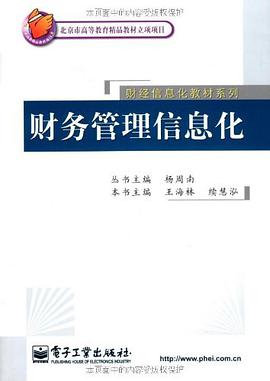 财务管理信息化 pdf epub mobi 下载