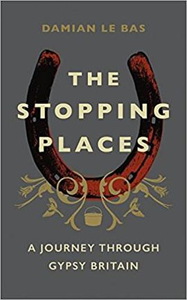 The Stopping Place pdf epub mobi 电子书 下载