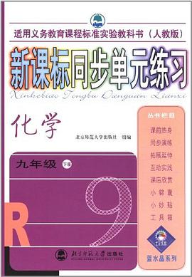 化学(九年级)(下册)(人教版)-新课标同步单元练习-(适用义务教育课程标准实验教科书)