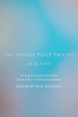 The Mideast Peace Process pdf epub mobi 电子书 下载