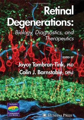 Retinal Degenerations pdf epub mobi 电子书 下载