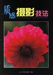 质感摄影技法 pdf epub mobi 电子书 下载
