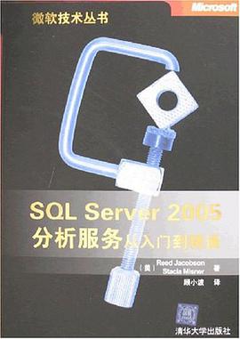SQL Server 2005分析服务从入门到精通 pdf epub mobi 电子书 下载