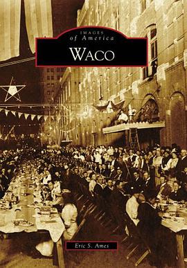 Waco pdf epub mobi 下载