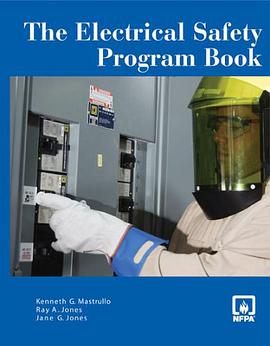 Electrical Safety Program Book pdf epub mobi 电子书 下载