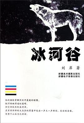 冰河谷 pdf epub mobi 电子书 下载