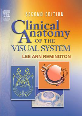 Clinical Anatomy of the Visual System pdf epub mobi 电子书 下载