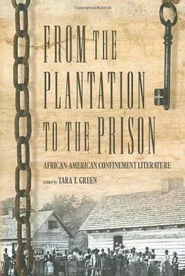 From the Plantation to the Prison pdf epub mobi 电子书 下载