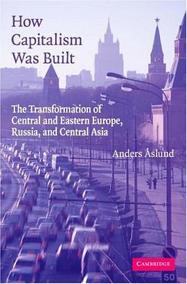How Capitalism Was Built pdf epub mobi 电子书 下载