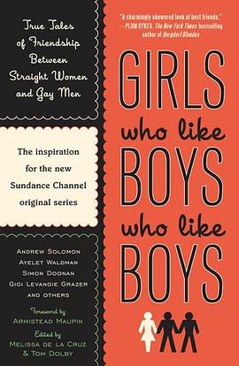 Girls Who Like Boys Who Like Boys pdf epub mobi 电子书 下载