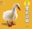 幼兒快樂情境認知：常見動物 pdf epub mobi 電子書 下載