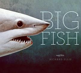 Big Fish pdf epub mobi 电子书 下载