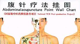 腹针疗法挂图 pdf epub mobi 电子书 下载