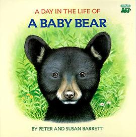 A Day in the Life of a Baby Bear pdf epub mobi 电子书 下载