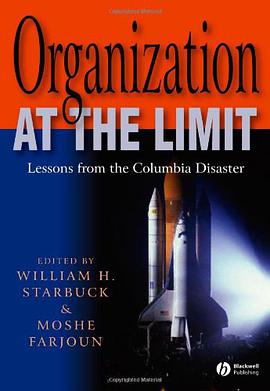 Organization at the Limit pdf epub mobi 下载