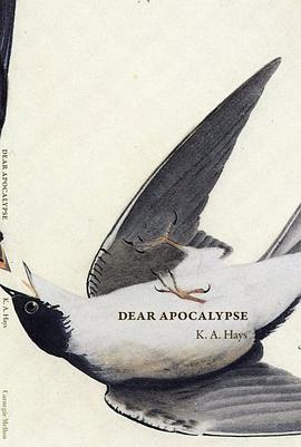 Dear Apocalypse pdf epub mobi 电子书 下载