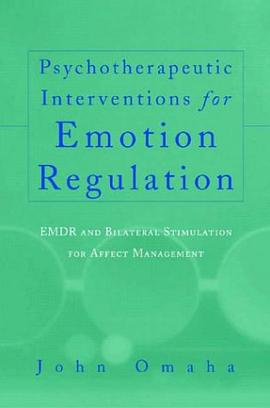 Psychotherapeutic Interventions for Emotion Regulation pdf epub mobi 下载