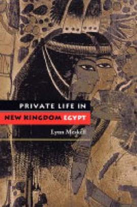 Private Life in New Kingdom Egypt pdf epub mobi 电子书 下载