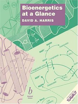 Bioenergetics at a Glance pdf epub mobi 电子书 下载