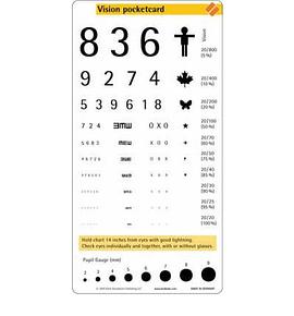 Vision Pocketcard pdf epub mobi 電子書 下載