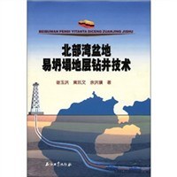 北部湾盆地易坍塌地层钻井技术 pdf epub mobi 电子书 下载