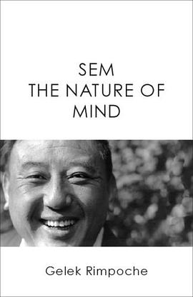 SEM The Nature of Mind pdf epub mobi 电子书 下载