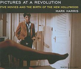 Pictures at a Revolution pdf epub mobi 电子书 下载