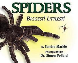 Spiders Biggest! Littlest!