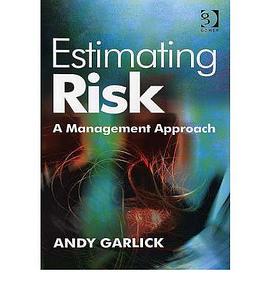 Estimating Risk pdf epub mobi 電子書 下載