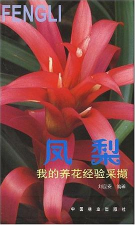凤梨 pdf epub mobi 电子书 下载