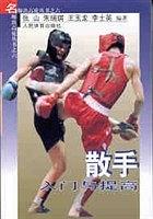 散手入门与提高 pdf epub mobi 电子书 下载