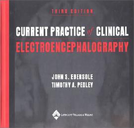 Current Practice of Clinical Electroencephalography pdf epub mobi 电子书 下载