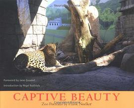 Captive Beauty pdf epub mobi 电子书 下载