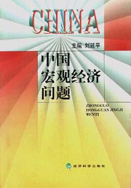 中国宏观经济问题 pdf epub mobi 电子书 下载