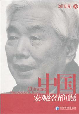 中国宏观经济问题 pdf epub mobi 电子书 下载