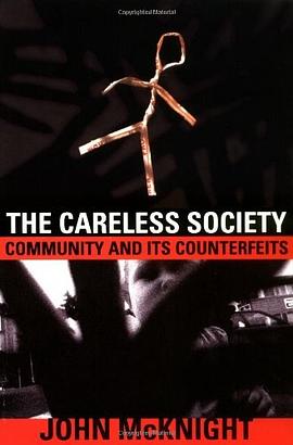 The Careless Society pdf epub mobi 电子书 下载